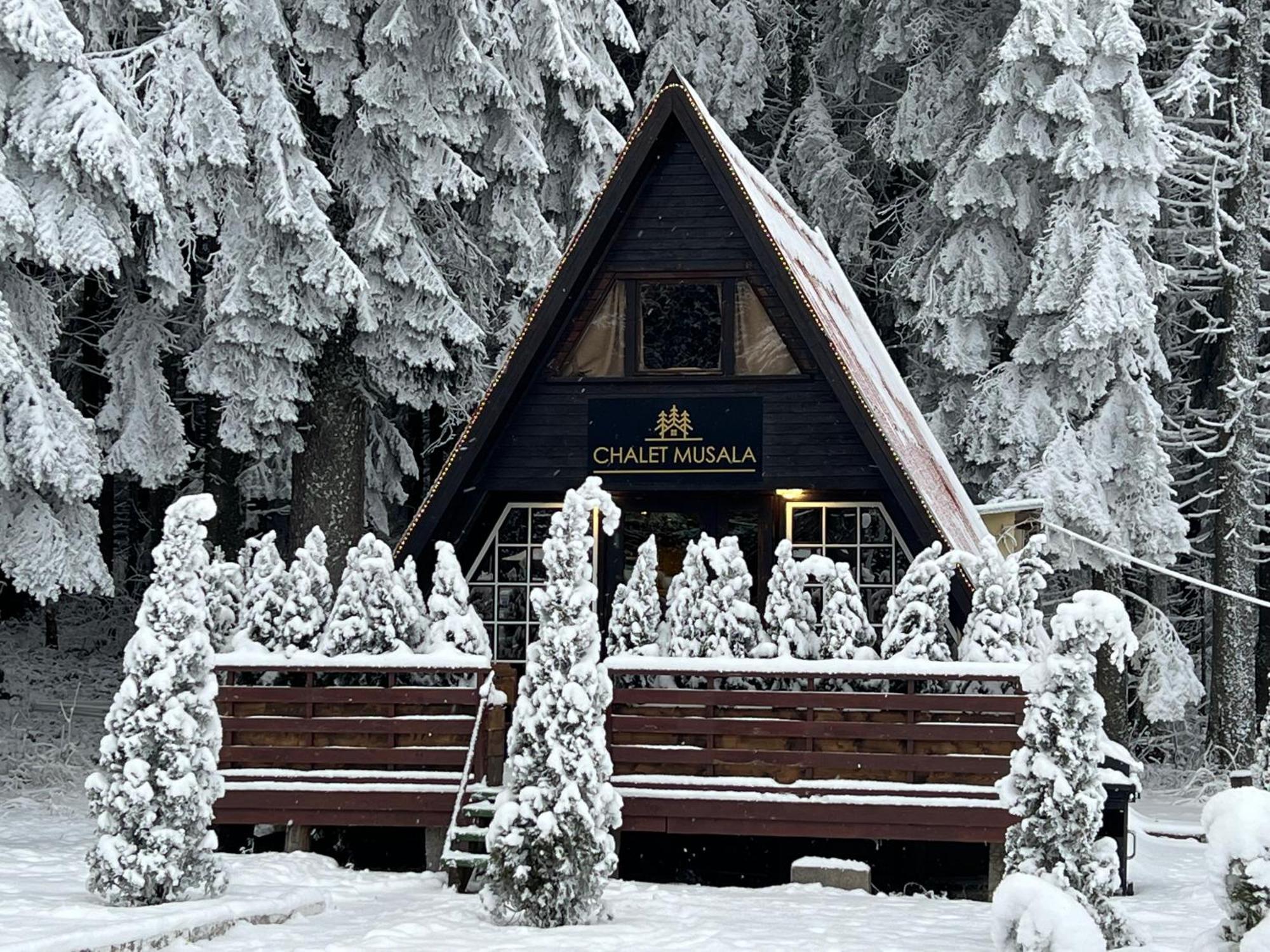 Villas Mura With Spa & Hot Swimming Pool Borovets Exterior foto